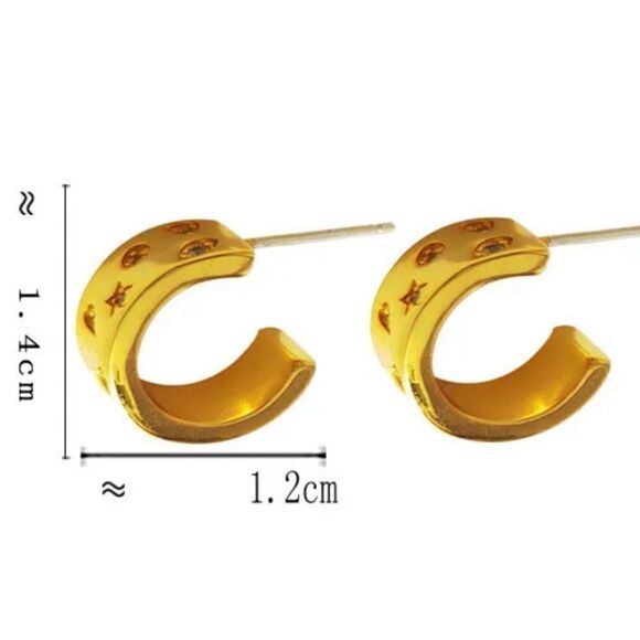 #37 Gold/925 Post Hoop Zircon Earrings - Picture 8 of 10